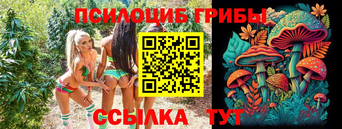 Псилоцибиновые грибы мухоморы  Вход с VPN  Елец 